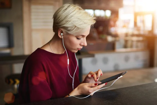 Blogger searching news in network for sharing multimedia files and article on personal web page via touchpad — Stock Photo, Image