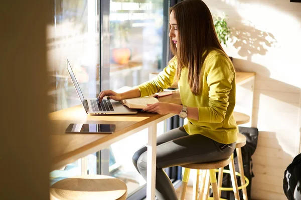 Freelancer feminino trabalhando no laptop — Fotografia de Stock