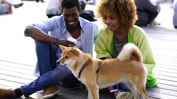 Dos jóvenes afroamericanos disfrutando de un ambiente amistoso juntos — Vídeos de Stock