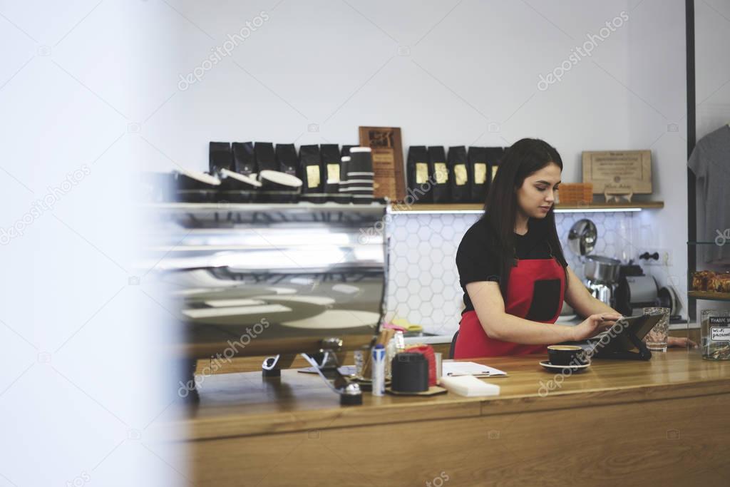 Waitress checking finance reporting in online database reading daily report