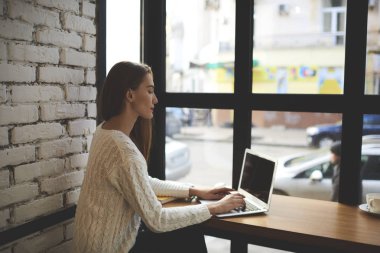 Kadın internet satıcı kafeterya iç oturan moda bakmak, kendi ağ web sitesi oluşturma