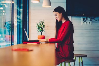 Mesafe konsantre yetenekli genç freelancer iş dizüstü bilgisayar üzerindeki web sayfaları tarama projesi için arama bilgileri.