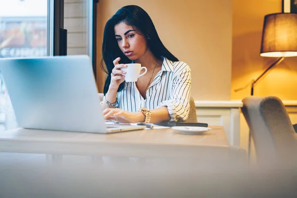 Gorgeous skilled female graphic designer making researches in websites on laptop connected to wireless internet during drinking coffee.Cute pensive hipster girl watching interesting video on webpage
