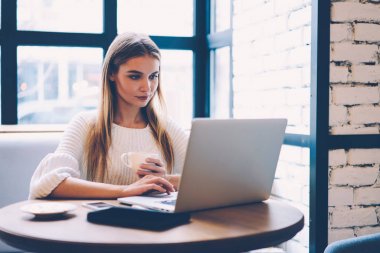Genç kadın video online kahve molası kafe, çekici Bayan iş projesi modern netbook üzerinde web sayfalarını tarama ayarlama hakkında daha fazla bilgi arama dinlenme izlerken konsantre