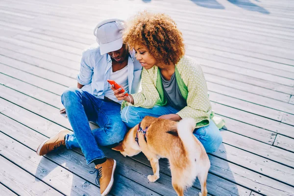 市支出時間屋外でモバイルに関する情報をブラウズ イベントに関するニュースを読んで浅黒いお友達犬と一緒に休憩中のスマート フォンでオンライン ビデオを見てアフロ アメリカ ロマンチックなカップル — ストック写真