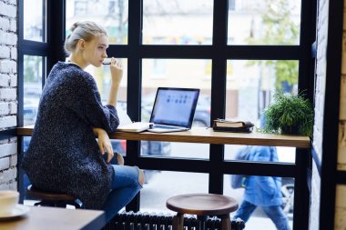 Para online çalışma çekici öğrenci öğrenme kafe iç serbest kafede, üzerinde kazanç proje pazarlama oluşturma stratejisi hakkında düşünme çekici sarışın metin yazarı durulması