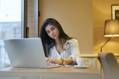 Kadın girişimci Web sitesi tarama mali rapor bilgilerini arama büyüleyici kafe iç, çalışma işlemi sırasında dizüstü bilgisayarda yazarak dalgın esmer işkadını portresi 