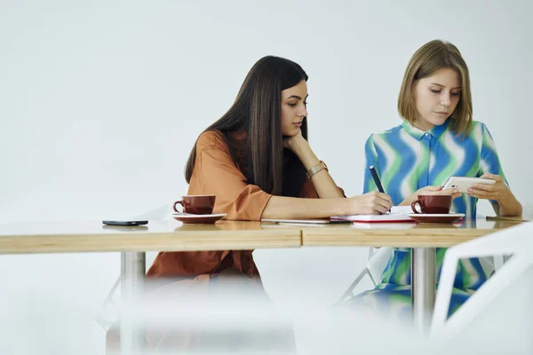 Concentrated Female Colleagues Developing Media Marketing Strategy Corporation Collaborating Together — Stock Photo, Image