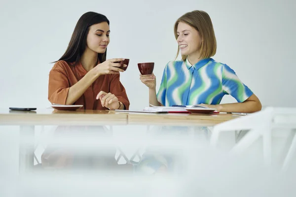 Young attractive business partners celebrating collaboration contract  having informal meeting in cafe interior sitting on  white promotional background, female best friends resting on coffee break