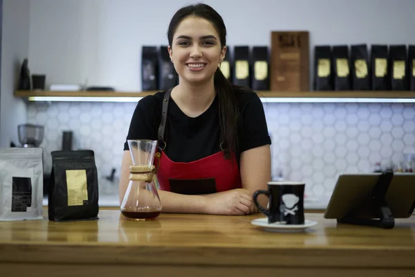 Half length portrait of charming positive young woman dressed in red apron standing at bar and looking at camera.Beautiful female barista with black hair working in stylish coffee shop interior