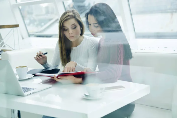 Two skilled students collaborating on own training project sitting in stylish coworking space with science literature and laptop device.Smart females teamworking on task in university interior