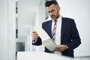 Dalgın sakallı olgun erkek patron çalışma programı içeriği, başlangıç proje ayakta yakınındaki kopyalama alanı alanı için reklam için fikirler belirterek işadamı proofreading kişisel planlayıcısındaki kontrol