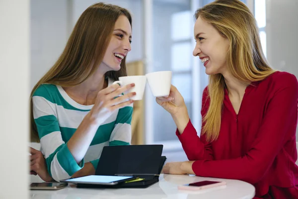 Cheerful colleagues celebrating success of business common project drinking tea in cozy place, attractive female best friends having fun together enjoying communication in break in coffee shop