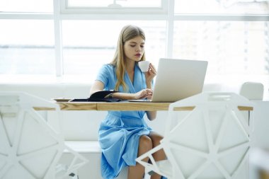 El laptop uygulama internet sitelerinde arama için metin bilgilerini yazarak lezzetli kahve Kupası muhteşem kadın var. Bilgisayar ofiste oturan kapuçino şık genç kadının