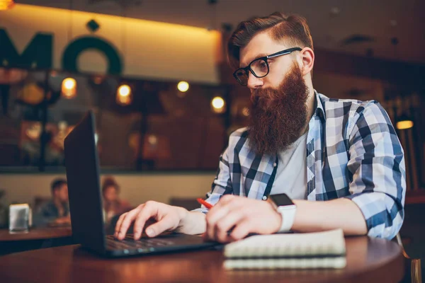 Konsentrert Den Utvikler Virker Fjernstyrt Nytt Program Som Sitter Kaffebar – stockfoto