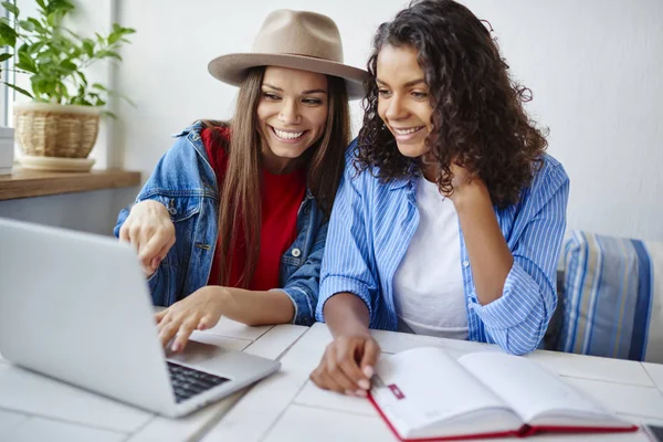 Vrolijke Multiraciale Vrouwelijke Student Maken Huiswerk Maken Samen Onderzoek Netbook — Stockfoto