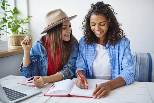 Vrolijke Afrikaans Amerikaans Meisje Maken Van Aantekeningen Bespreken Plannen Voor — Stockfoto