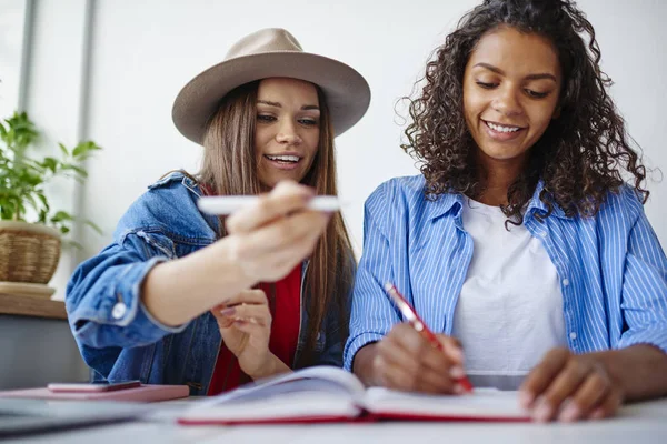 Vrolijke Multiraciale Student Met Plezier Samenwerken Aan Huiswerk Taak Schrijven — Stockfoto