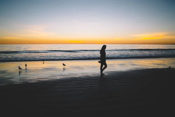 Weibliche Silhouette Einer Einsamen Person Die Allein Sandigen Meeresufer Geht — Stockfoto