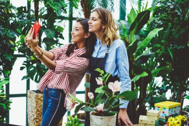 Neşeli kadın meslektaşları dijital fotoğraf makinesinde çalışan birlikte sera, hücresel bahçıvan vakit önlük ile mutlu Asyalı kadın alarak resim ben oranger smartphone yapma selfie poz