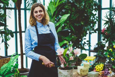 Yarım uzunluk portre müreffeh kadın sahibi veya kap içinde çiçek dikim orangery işlemiyle, Bahçe botanik greenhous işinde zevk sırasında makas kullanarak önlük neşeli kadını tatmin.