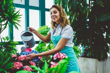 İşgal, sera sulama çiçek blosso ile hayran sahibi önlük neşeli kadın portresi müreffeh gülümseyen kadın Çiçekçi Çiçek orangery içinde Bakımı zevk memnun