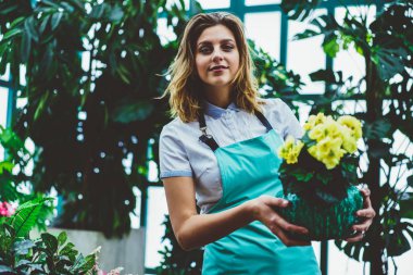 Botanik orangery serada vakit Çiçeklik tutan genç kadın sahibi portresi, pazarlamacı kamera işgal INF çiçek ile memnun bakarak önlük depolamak taşıma po