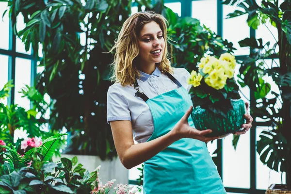 Profissional Florista Feminino Fascinado Com Bela Flor Segurando Canteiros Flores — Fotografia de Stock