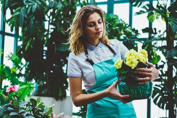 Vendedora Loja Varejo Floral Segurando Pote Fascinado Com Bela Flor — Fotografia de Stock