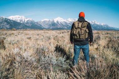 Erkek Gezgin Dağı'nda seyir Arkadan Görünüm alanı en fazla, hipster adam wander yolculuk vahşi ortamda hiking ABD güzel doğasını keşfetmek sırt çantası ile ulaşmak hazır tutuyoruz doruklarına