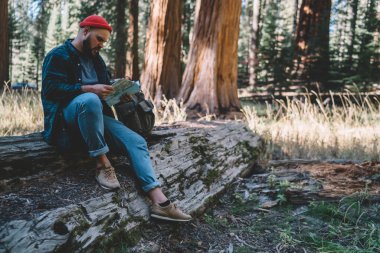 Konsantre hipster adam okuma harita yol ve yön orman, vahşi çevre planlama ve konum kontrol keşfetmek sırt çantası ile erkek seyahat tur hiking sırasında dinlenme sırasında denetleme