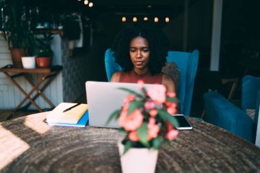 Koyu tenli kadın romantizm yazarı en çok satanlar listesinde yeni bir bölüm üzerinde çalışıyor. Çatı katında modern netbook ile oturuyor ve web sitesinde bilgi arayan yetenekli bir kadın yaratıyor.