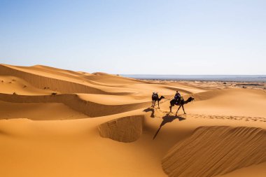 Yaz aylarında Sahara 'ya gidecek bir kişi ve iki deve kervanı. Yolculuk sırasında Safari çevresinin doğal kumsal manzarası. Fas' ta Arap macerası kavramı.