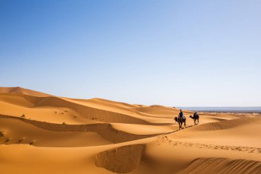 Yaz aylarında Sahara 'ya gidecek bir kişi ve iki deve kervanı. Yolculuk sırasında Safari çevresinin doğal kumsal manzarası. Fas' ta Arap macerası kavramı.