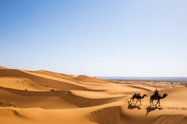 Yazın bir kişi ve iki deve kervanı Sahara 'nın nefes kesici uluslararası varış yerine ulaşması, Safari çevresinin berber doğası manzarası, Fas çölündeki Arap macerası