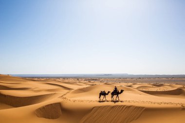 Yazın bir kişi ve iki deve kervanı Sahara 'nın nefes kesici uluslararası varış yerine ulaşması, Safari çevresinin berber doğası manzarası, Fas çölündeki Arap macerası