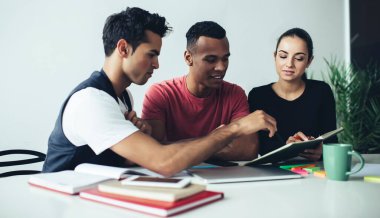 Gündelik giyinmiş zeki erkek ve kadın öğrenciler eğitim kitaplarından bilgi topluyor. Beyin fırtınası sırasında notlardan bilgi okuyan çok kültürlü erkekler ve kadınlar.