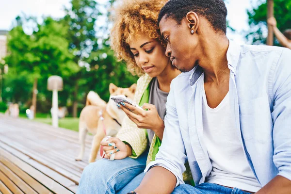 Africano Americano Dos Bloggers Actualizando Aplicación Teléfono Inteligente Moderno Utilizando — Foto de Stock