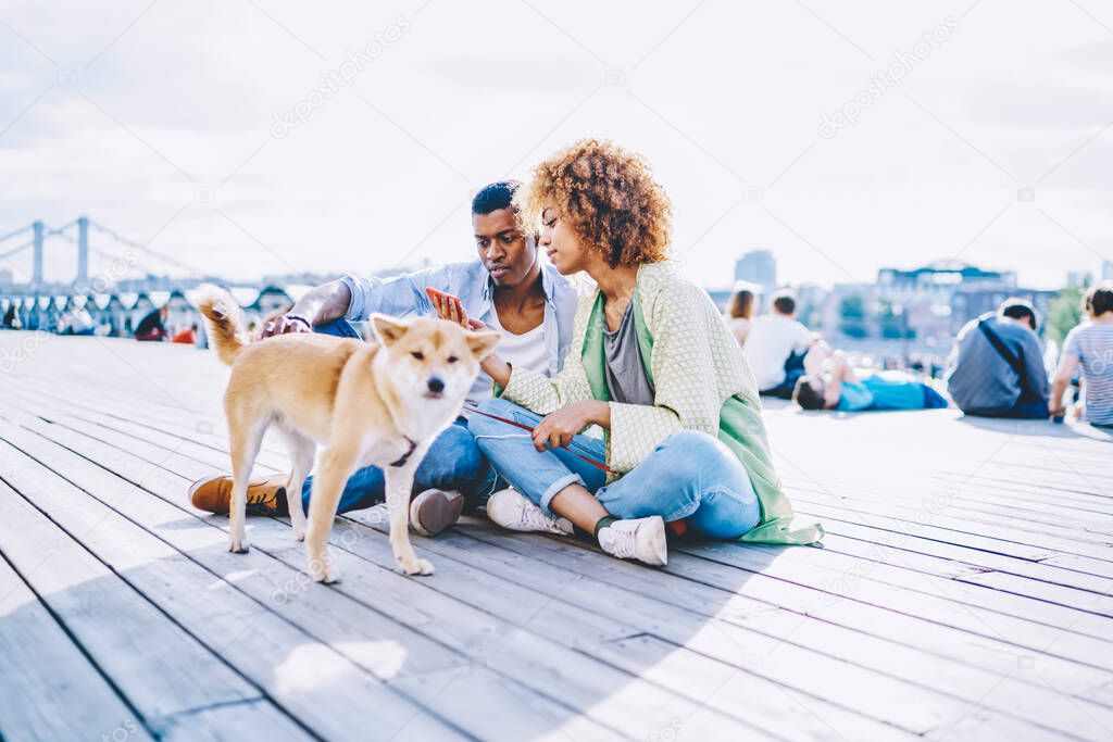 African american couple in love sitting in urban setting and watching live stream online in blog on smartphone using 4G internet.Young man and woman spending time together with dog in modern city