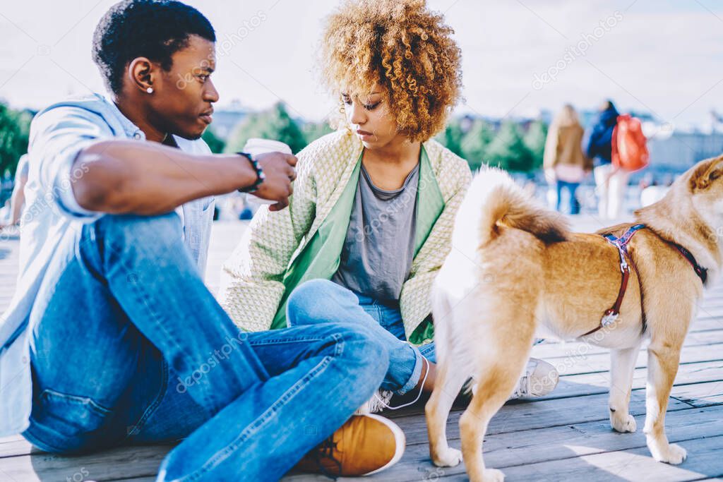 Dark skinned couple in love dressed in casual wear communicating with each other enjoying sunny day in urban setting with puppy.African american friends talking and spending time together on street