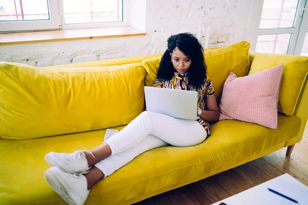 Focused African American teenager in glasses sitting on comfortable yellow sofa and using laptop for studies in cozy room at home