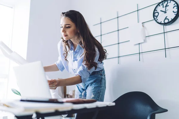 Charmante Jonge Vrolijke Vrouwelijke Ontwerper Blauwe Kleren Houden Onopgerold Wit — Stockfoto