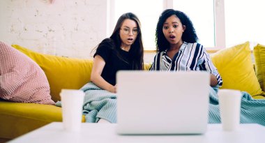 Çok ırklı genç kızlar şaşkın ve şaşkın görünüyorlar. Mavi battaniyenin altında sarı koltukta oturup dizüstü bilgisayardan ilginç bir film izliyorlar.