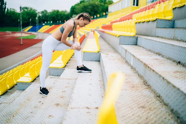 Tribünlerin Merdivenlerinde Durup Aşağı Bakan Kuyruklu Spor Odaklı Dişinin Yan — Stok fotoğraf