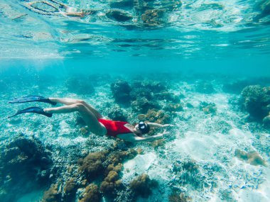 Seyahat eden kız, tropikal okyanuslardan hayranlık duymak için inanılmaz aktif dalış sporu yapıyor. Nefes kesici mercan resifleri, deniz derinliklerini ve su altı yaşamını keşfetmek için yaz tatilleri.