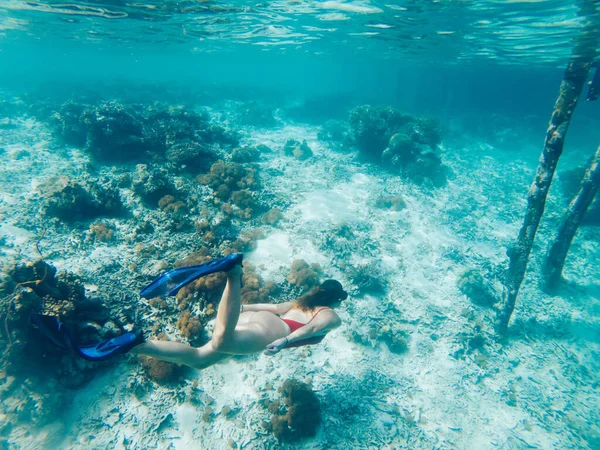 Reisefrau Taucht Kristallblauen Ozean Mit Wunderschönem Korallenriff Tropische Unterwasserwelt Erkunden — Stockfoto