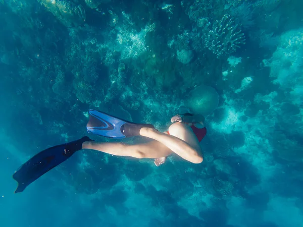 在印度尼西亚度假期间 穿着红色比基尼潜水到海深的活跃游客享受着极度的业余爱好 而在巴哈马潜水游泳时 穿着拖鞋的女性则会潜水到珊瑚礁里玩乐 — 图库照片