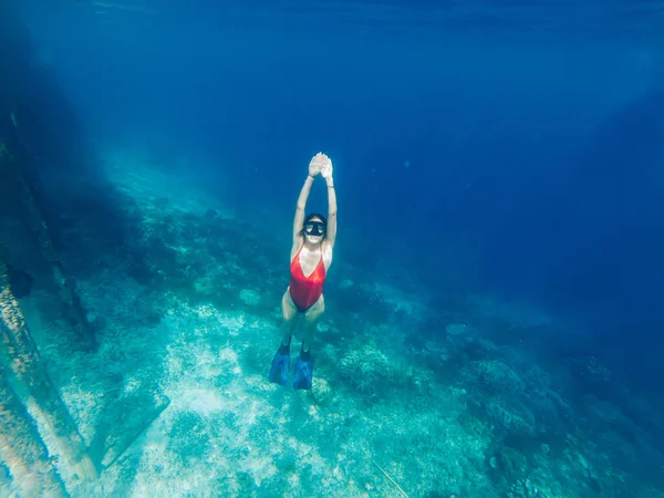 シュノーケリングスキューバダイビング中に海の深さを発見するためのサンゴ礁とクリスタルブルーの海と熱帯の島への旅を取得し 女性は夏のレクリエーションの休日の間に趣味を泳ぐ楽しんで ロイヤリティフリーのストック写真