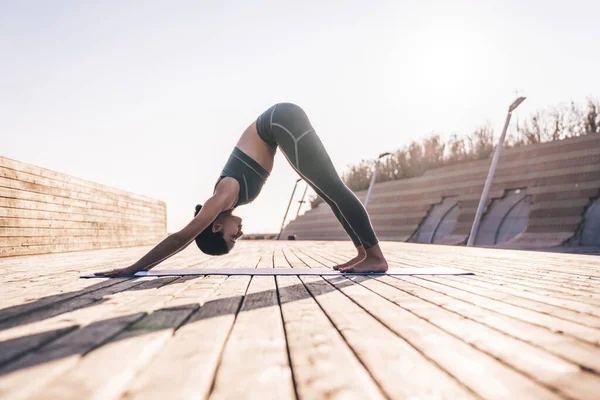 Boční Pohled Klidnou Meditativní Ženu Moderním Sportovním Oblečení Poloze Psí — Stock fotografie