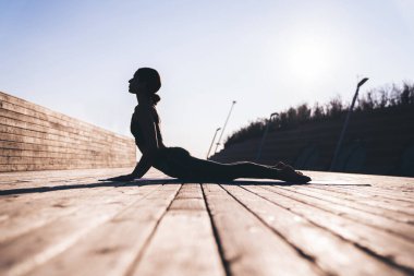 Gündüz vakti minder üzerinde çalışırken kobra yoga pozu veren zayıf, barışçıl kadın silueti.